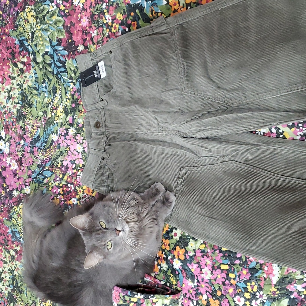 nwt no boundaries cotton corduroy carpenter pants 28x31 artichoke green